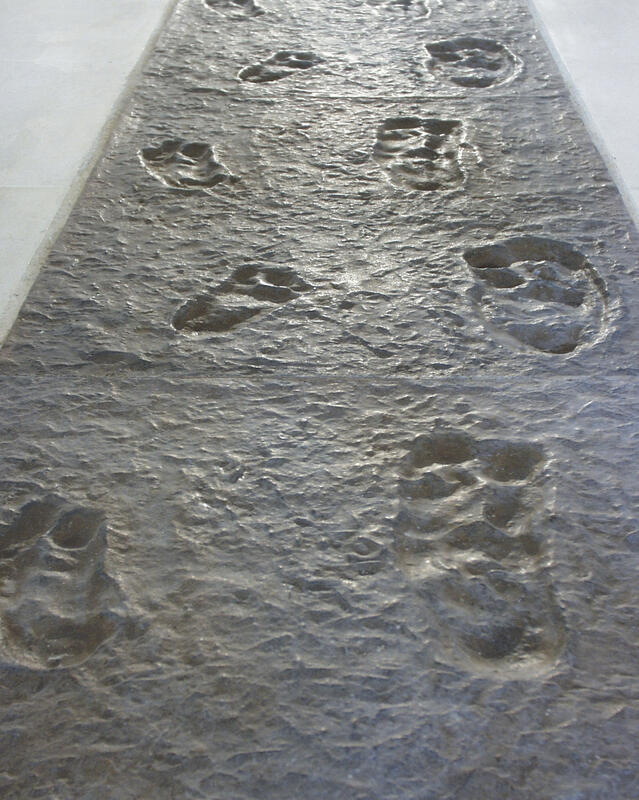 Imprint, memory & trace