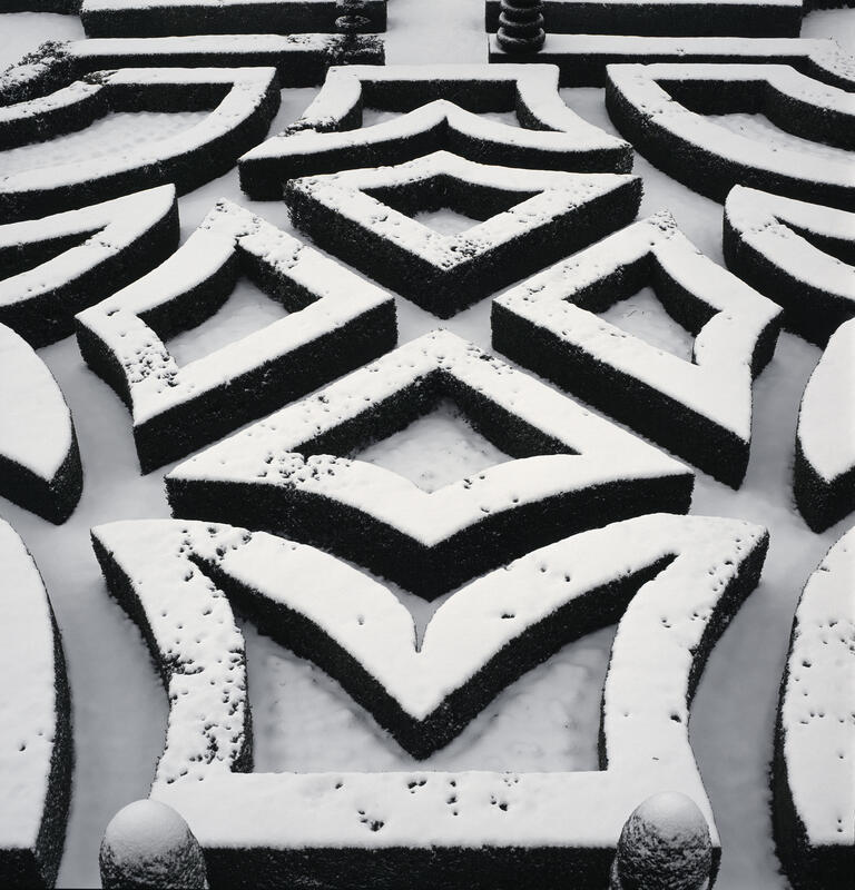 Gardens under the snow