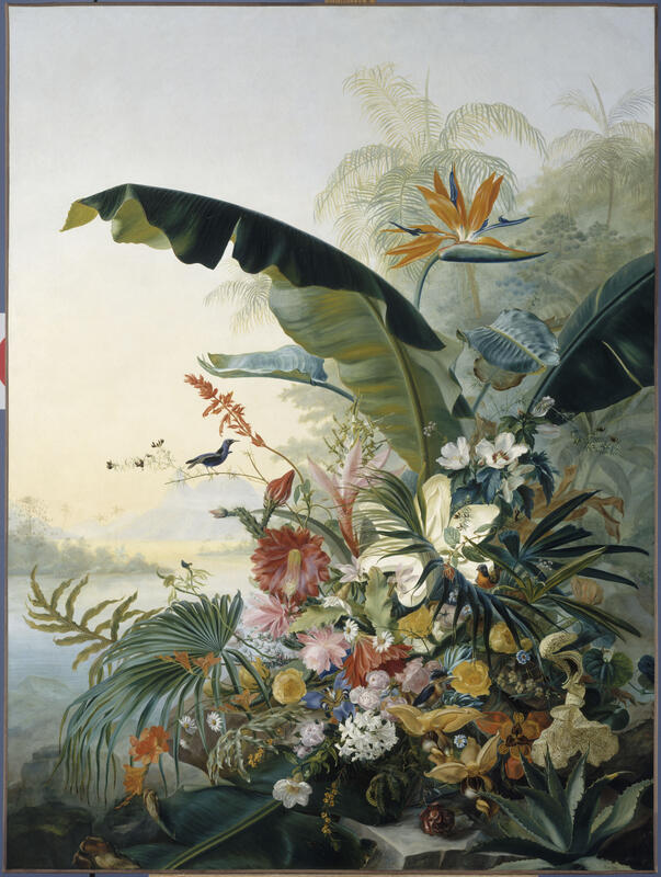 Terrestrial environment