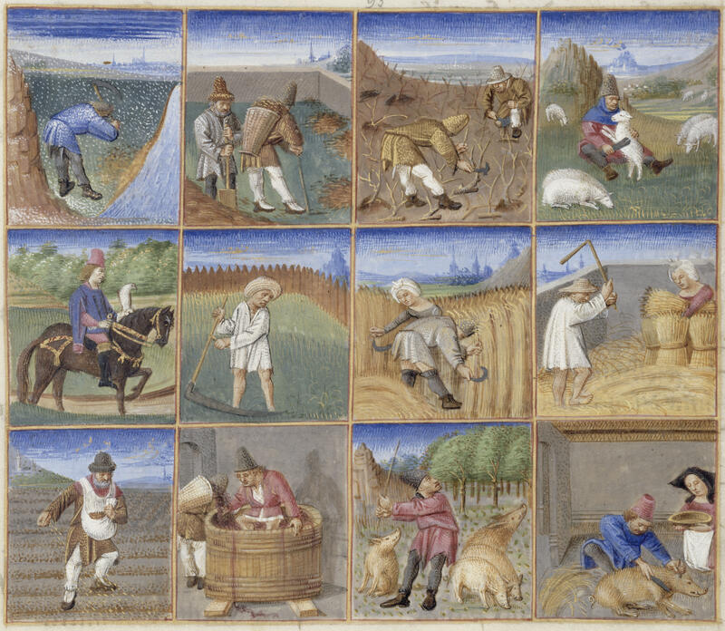 Illustrated books