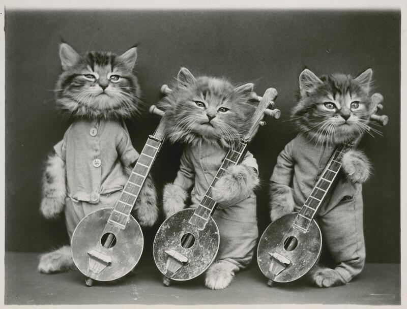 Harry Whittier Frees