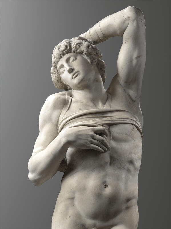 Michel-Ange Rodin. Corps vivants