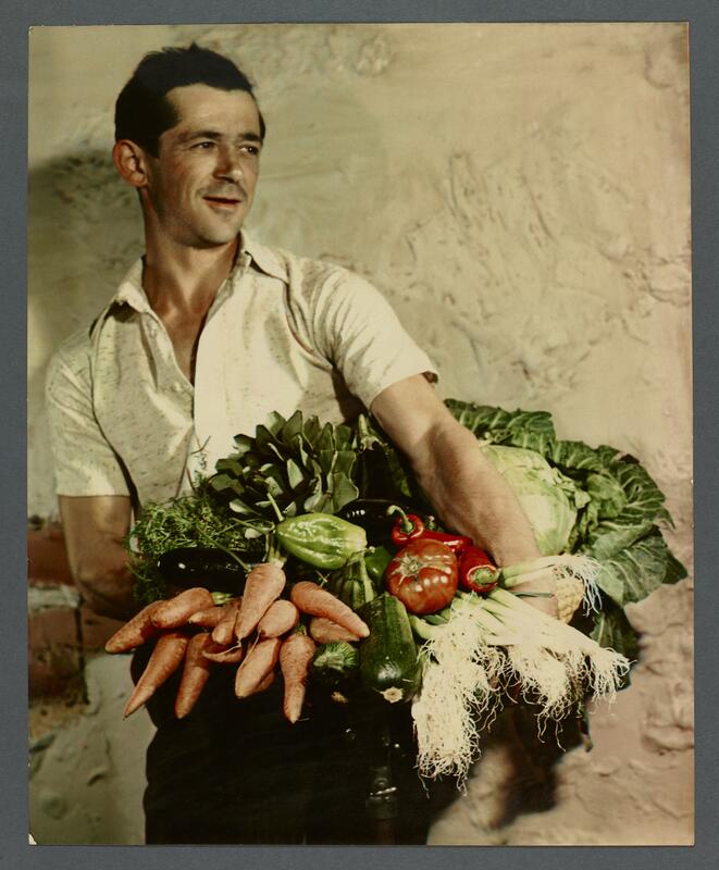 Aubergines, artichauts, laitues...