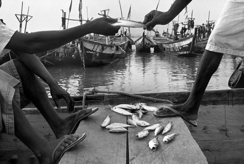 L'éloge d'Hervé Tardy à la petite pêcherie