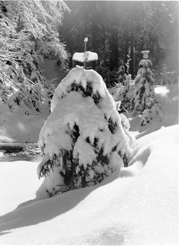 L'hiver en photographie
