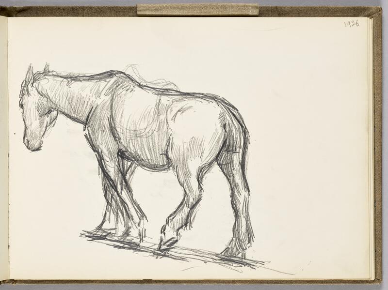 Les études de chevaux
