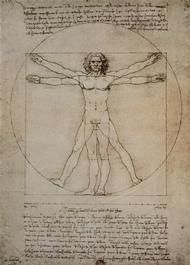 The body