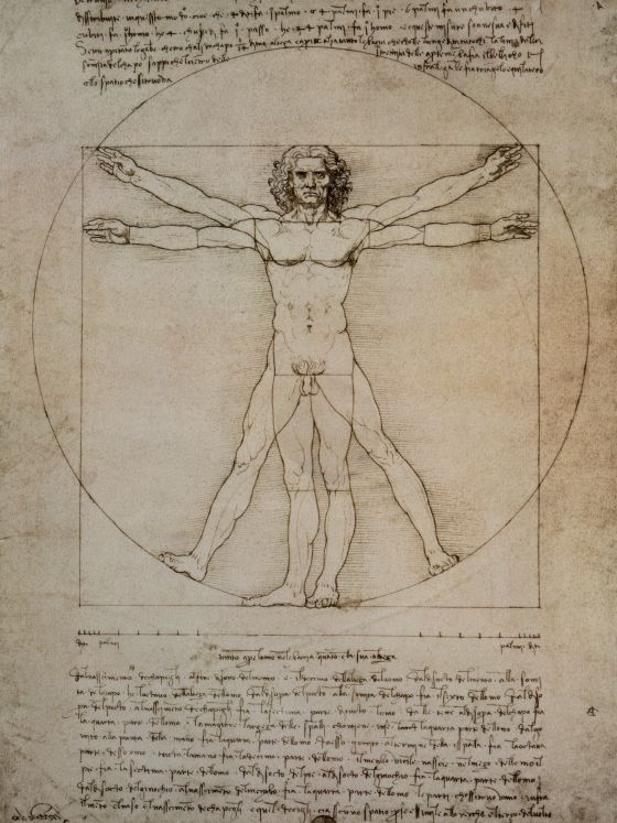 L'homme de Vitruve