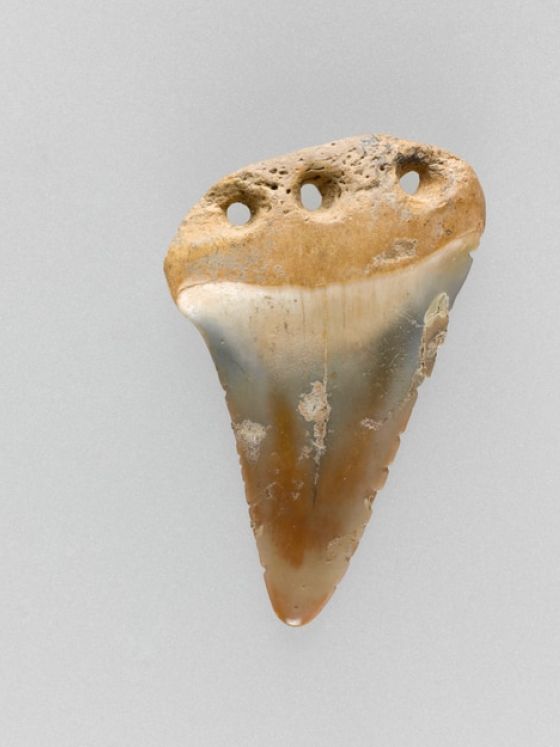 Dent de requin avec trois perforations