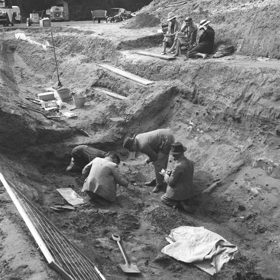 Fouilles archéologiques du site Sutton Hoo